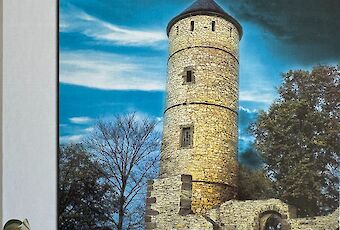 Ein Feste Burg - Die Plesse